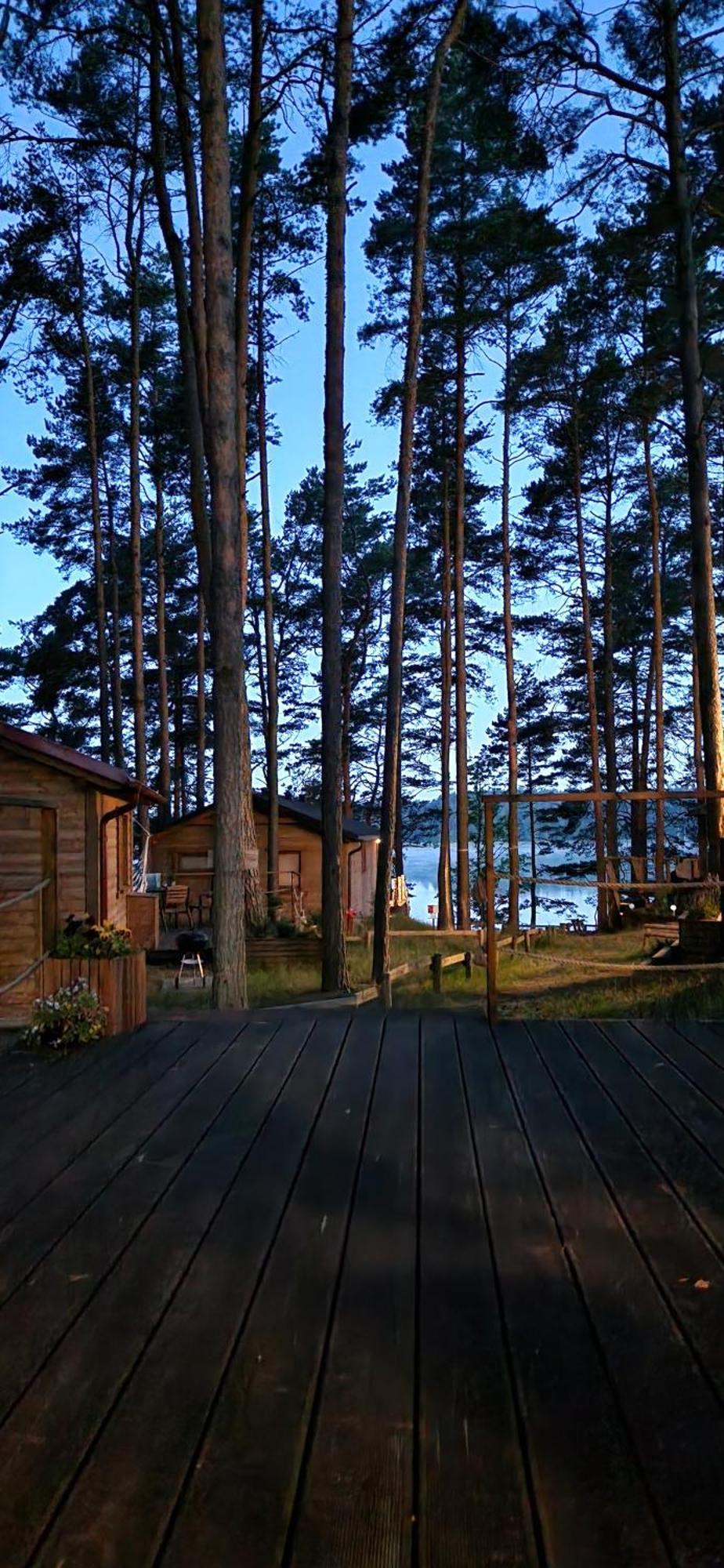 Oslo N°29 Domek Letniskowy Borsk Extérieur photo